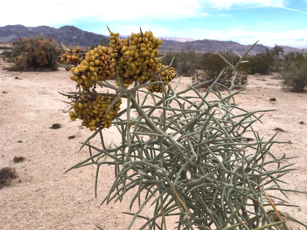 Bishops call us to ecological conversion