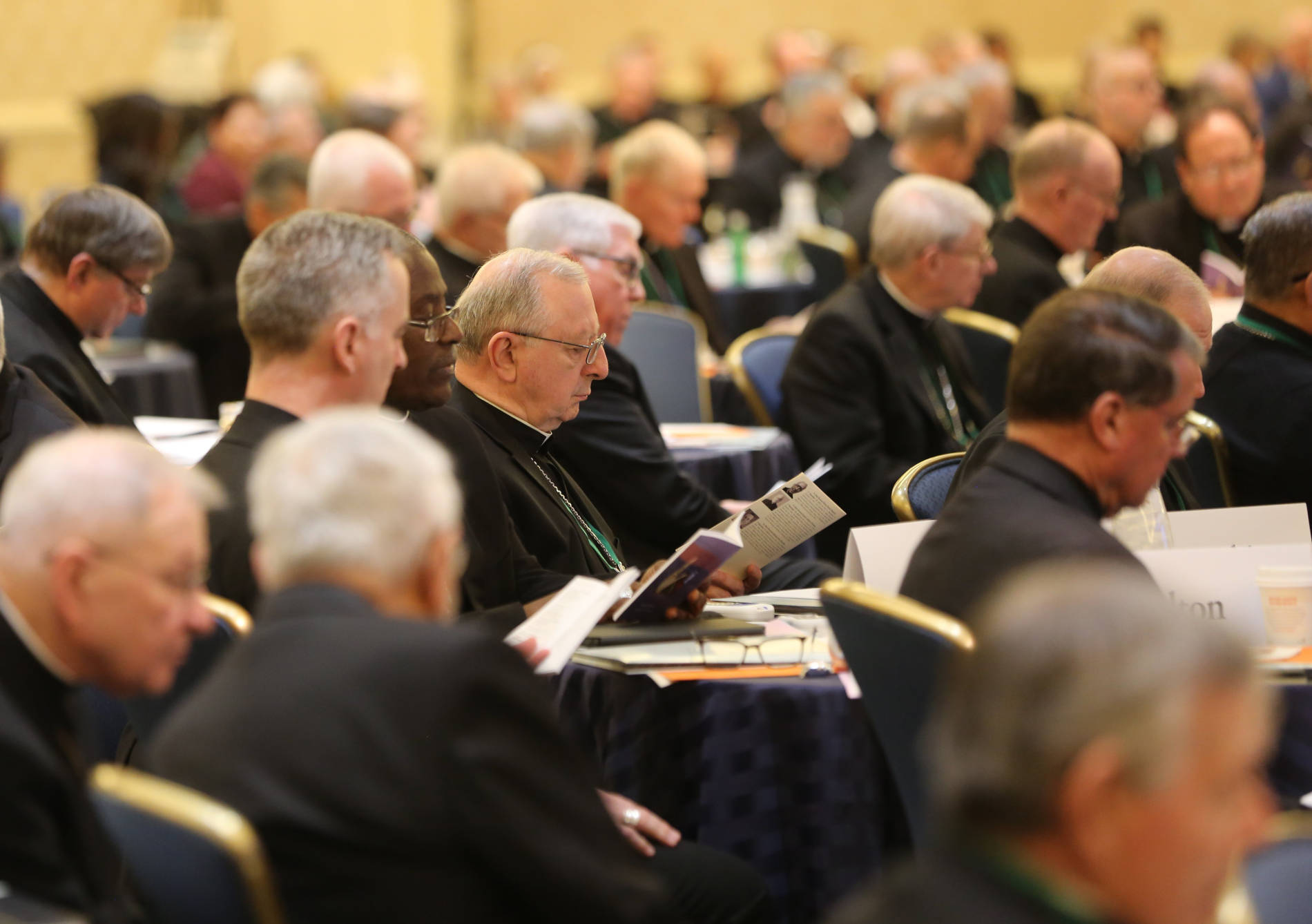 U.S. Bishops Commemorates Our Lady of Guadalupe - The Southern Cross